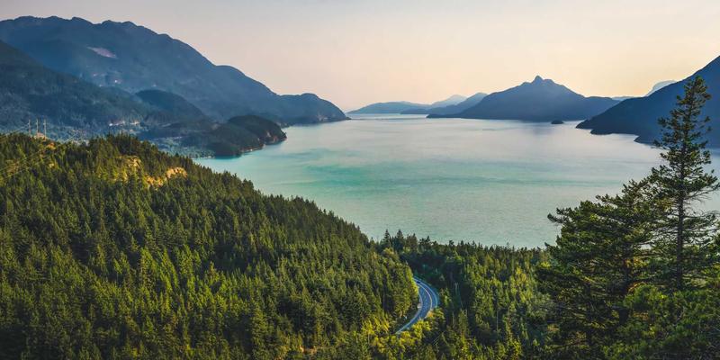 2024年科技资讯全攻略：如何精准选购笔记本电脑与洞察人工智能新趋势