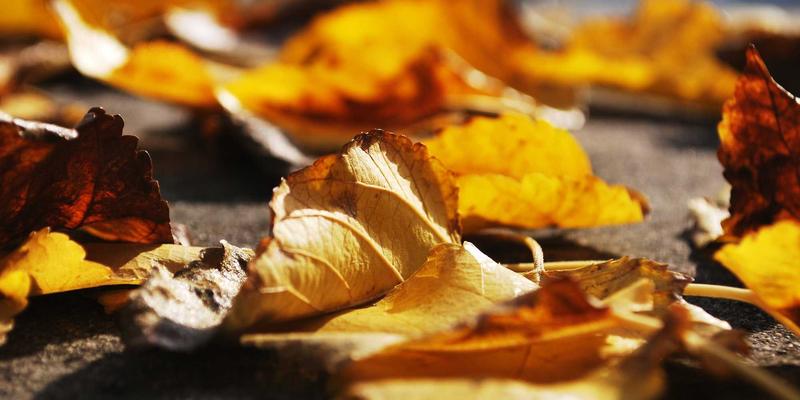 2024年笔记本电脑选购指南：洞察数码产品新趋势，打造高效移动办公与娱乐体验