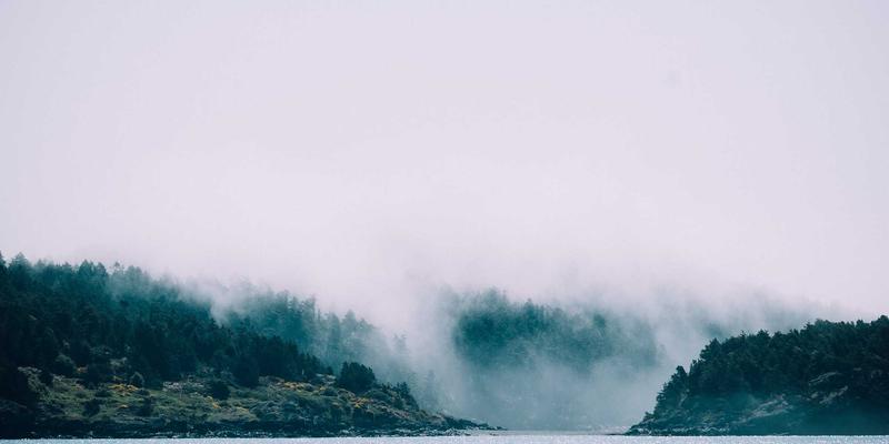 AI芯片架构之争：GPU、TPU与NPU如何重塑科技未来，从笔记本电脑到智能家居