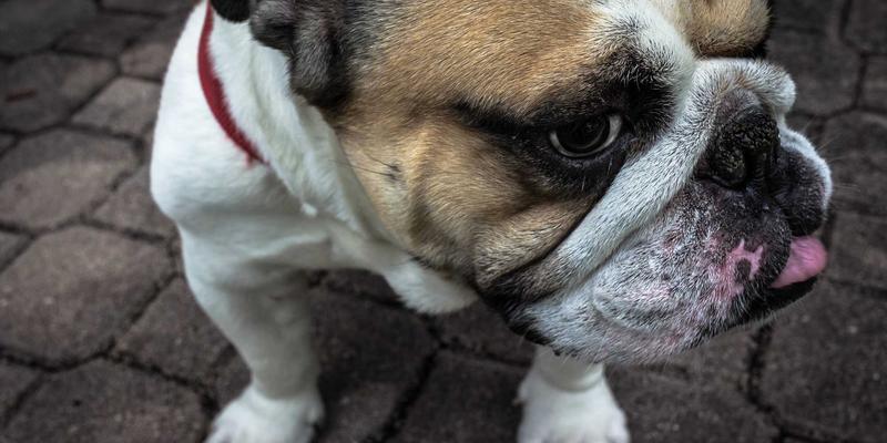 从手机评测到智能家居：低轨卫星互联网如何重塑数码产品未来格局