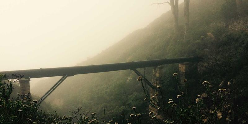 从手机评测到智能家居：具身智能如何通过多模态学习重塑物理世界交互