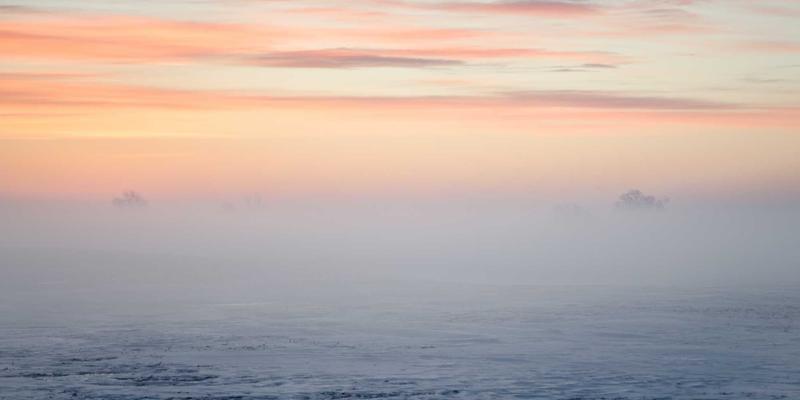 智能家居与数码产品新纪元：从指纹到静脉识别，生物识别技术如何重塑安全与便捷的平衡
