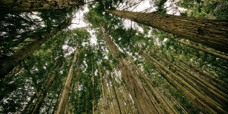 智能家居与数码产品融合：2024年电子产品消费新趋势