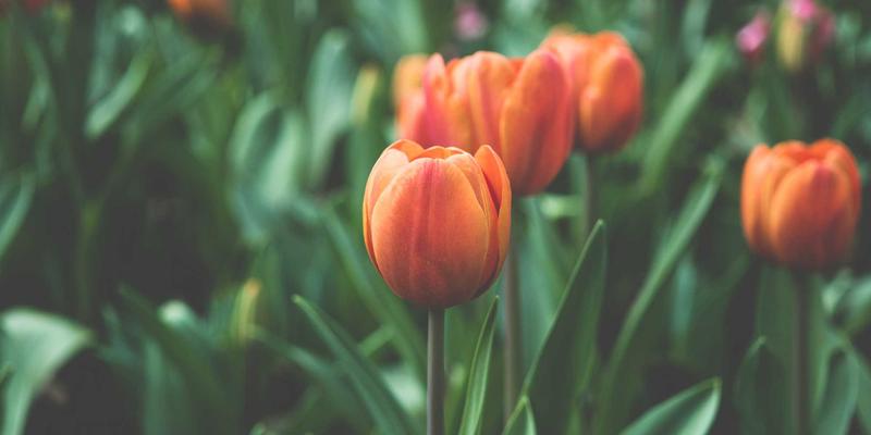 笔记本电脑、手机与数码产品深度评测：2024年科技消费新趋势解析